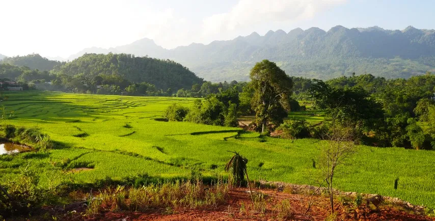 Mai Hich in de Mai Chau Vallei
